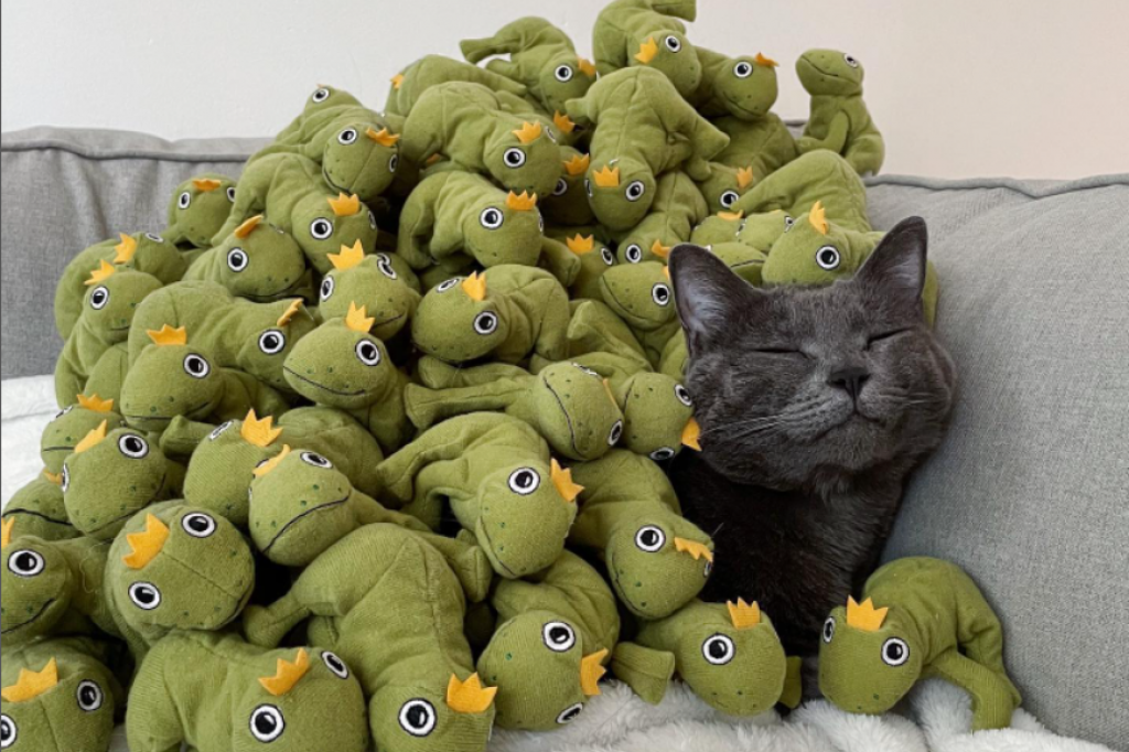 Mačka je toliko opsednuta igračkom žabe da su njeni vlasnici odlučili da joj nabave sve (FOTO/VIDEO)