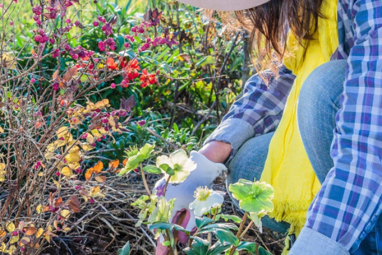Smirite živce: Ukoliko vam se ne dopada meditacija, isprobajte ovih sedam smirujućih hobija