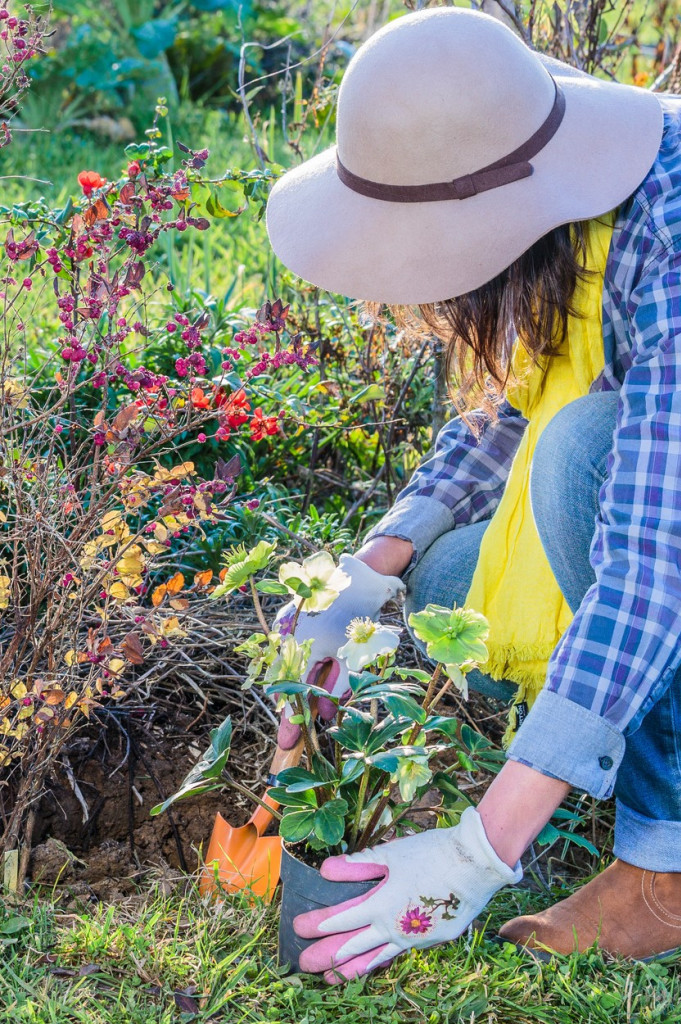 Zakopajte jaje u teglu sa cvećem i gledajte šta će se dogoditi za nekoliko dana