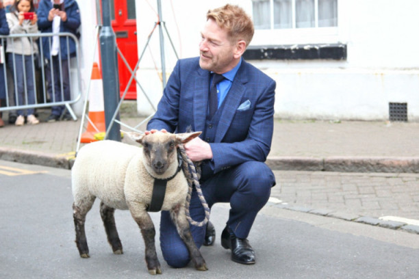 Džudi Denč i Kenet Brana prošetali ovce Šekspirovim rodnim gradom: Razlog je fantastičan (FOTO)