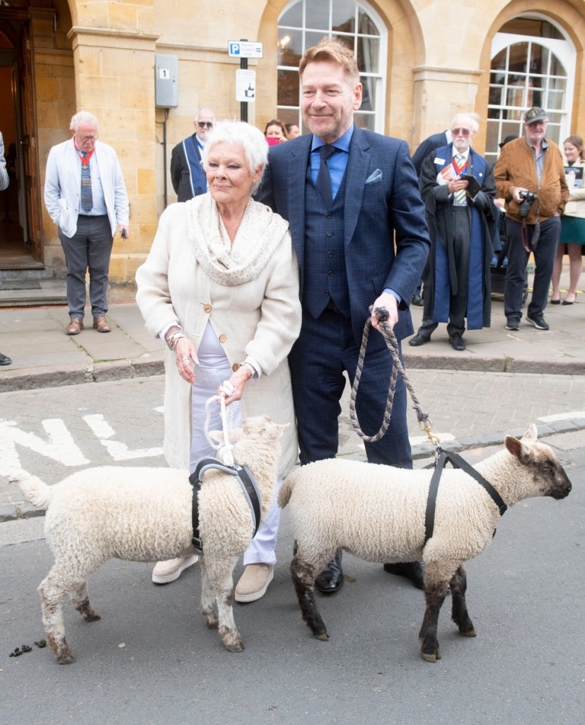 Džudi Denč i Kenet Brana prošetali ovce Šekspirovim rodnim gradom: Razlog je fantastičan (FOTO)