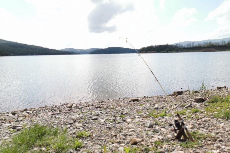Ovde žive najkrupniji somovi u Srbiji: Ribolovci iz Gružanskog jezera svake godine izvlače ulov težak i do 100 kilograma (FOTO)