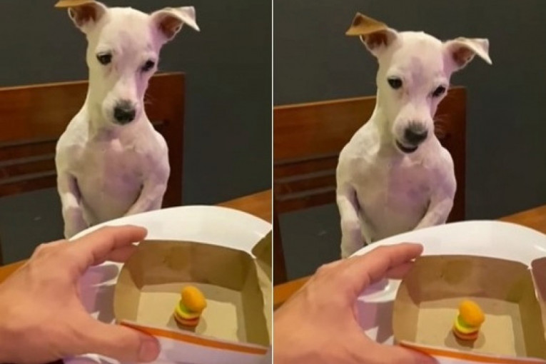 Servirali mu minijaturni burger, a zbog svoje reakcije, ovaj pas je postao hit na internetu (VIDEO)