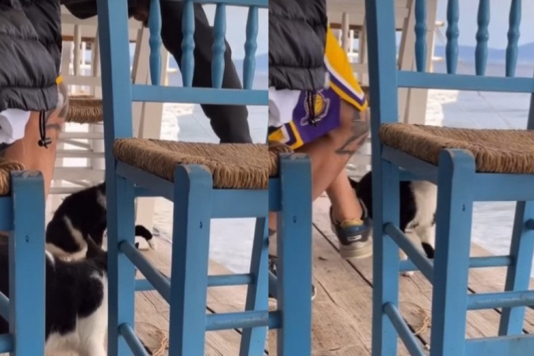 Pohvalio se na Instagramu da je šutnuo mačku u more, pa završio u zatvoru: Grci nemilosrdni prema onima koji maltretiraju životinje (VIDEO)