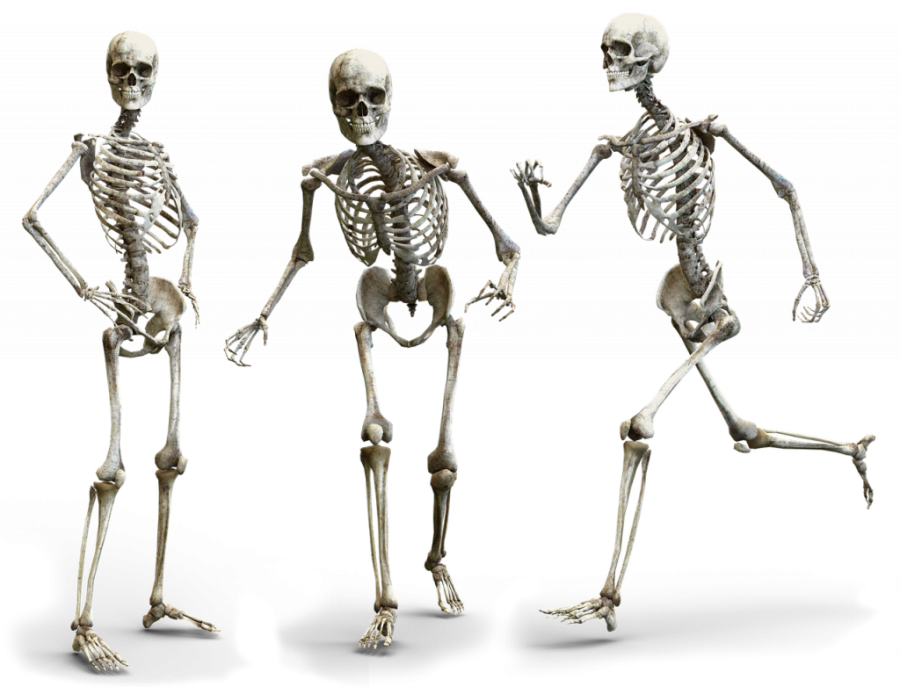 Osteoporoza – tiha bolest modernog doba koja ugrožava sve više žena