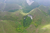 Čudesna šuma pronađena u ogromnoj rupi u Kini: Objašnjeno zašto je ova zemlja puna neobičnih kratera (FOTO/VIDEO)