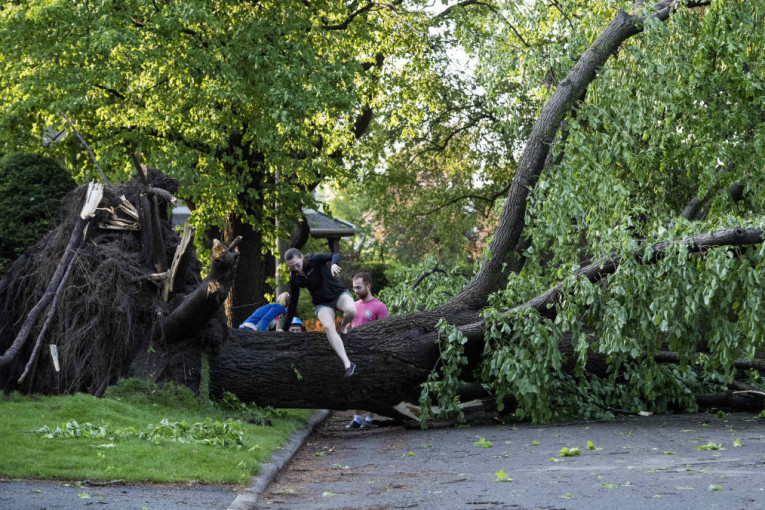 Jak vetar čupao stabla i električne stubove! Olujno nevreme napravilo kolaps u Osijeku