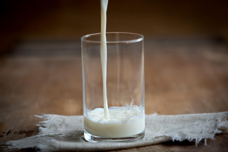 Prijave za premiju za mleko do 15. februara