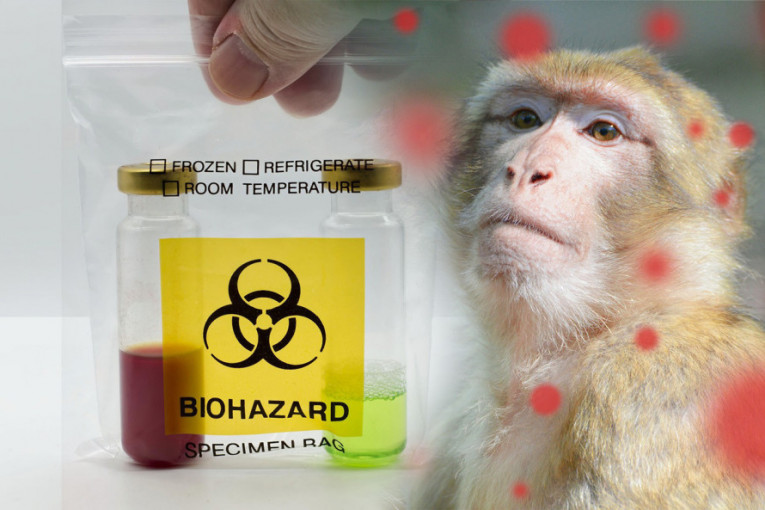 Majmunske boginje se šire Evropom: SZO reagovala, odmah počela vakcinacija, a ima li razloga za veću zabrinutost?