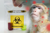 Majmunske boginje stigle u Srbiju, preti li nam masovna zaraza? Jedna grupa ljudi posebno podložna, epidemiolozi objasnili kako se zaštititi