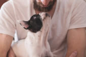 Pet načina na koje nam psi pokazuju da nas vole: Ako vaš ovo radi, nema sumnje, vi ste njegova omiljena osoba