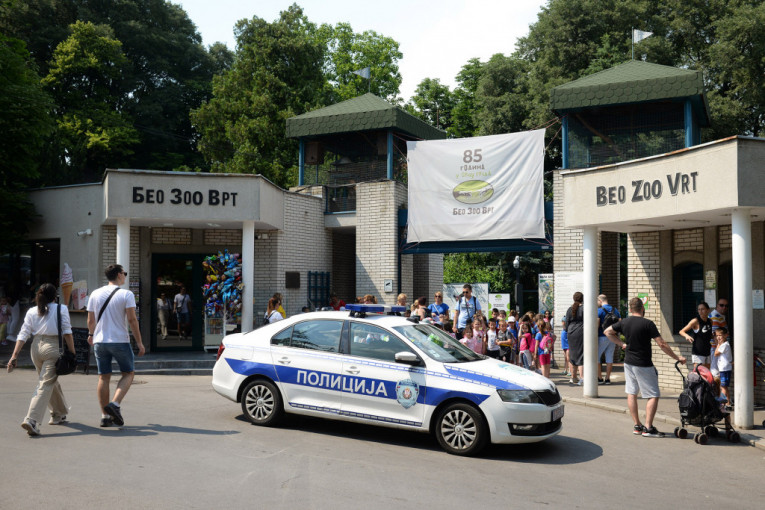 Na stotine mališana se izvodi iz beogradskog zoo-vrta: Stigla još jedna dojava o bombi (FOTO)