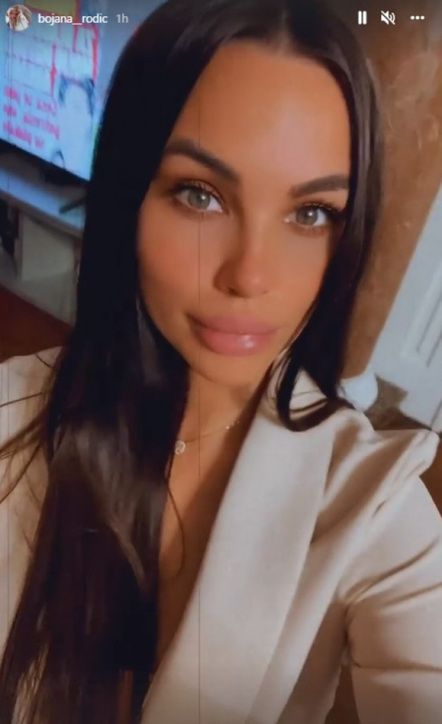 Veselo rođendansko slavlje u domu Ražnatovića: Sestre Rodić blistaju (FOTO)