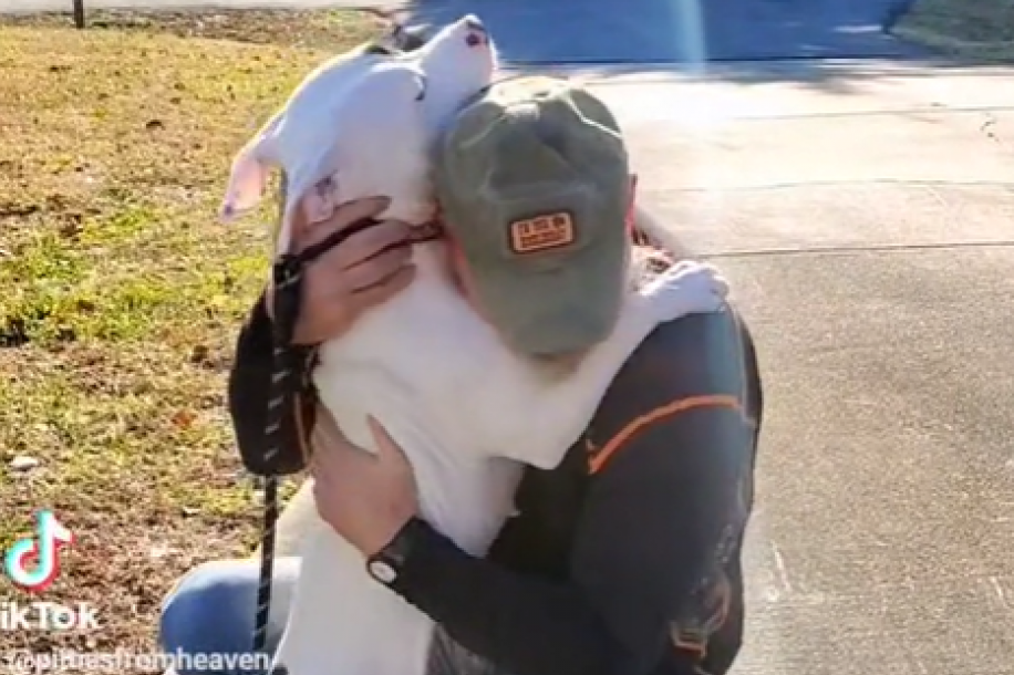 Kada se sreća konačno osmehne: Udomljeni pas ne može da prestane da grli svog novog vlasnika (VIDEO)
