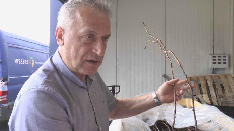 Malinari se kunu u ovu sortu: Raste brže nego uobičajena, kupovinu finansira Minisarstvo poljoprivrede