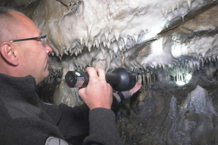 Ušačka pećina: Mesto retke vrste slepog miša neobičnog naziva (FOTO)