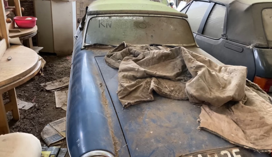 Veoma tužno: Otkriveno skladište puno automobilskih klasika iz kojih raste korov (VIDEO)