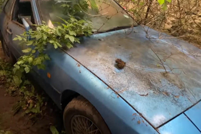Veoma tužno: Otkriveno skladište puno automobilskih klasika iz kojih raste korov (VIDEO)