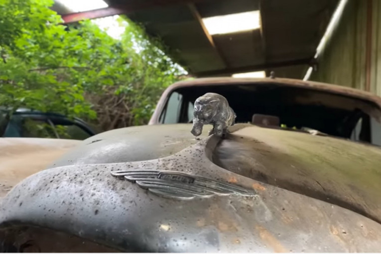 Veoma tužno: Otkriveno skladište puno automobilskih klasika iz kojih raste korov (VIDEO)