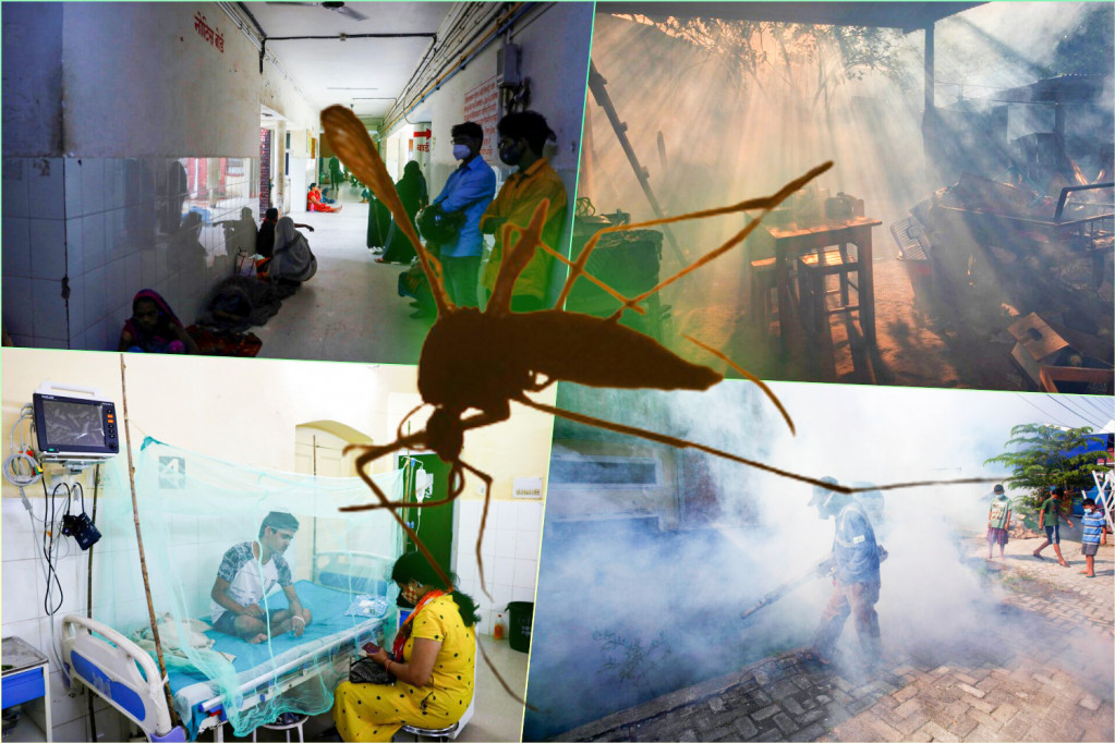 Stanje u Singapuru je alarmantno: Brzo širenje denga groznice pokazatelj je crne budućnosti cele planete