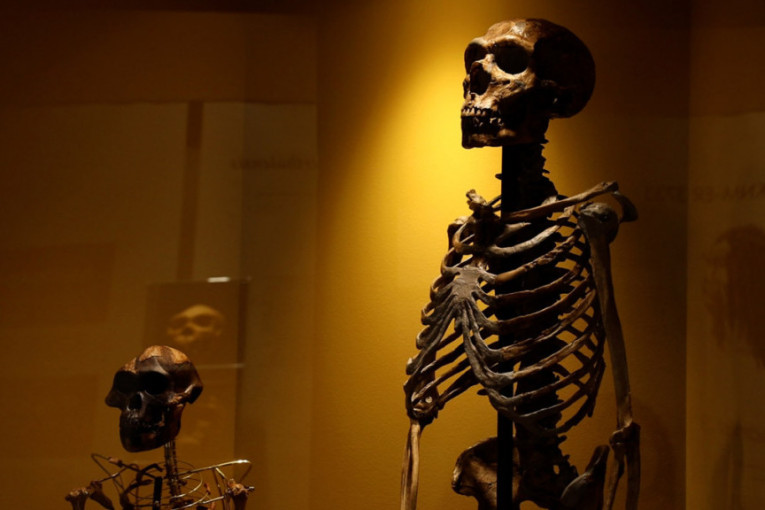 Naš naučnik otkriva odgovor na večno pitanje: Šta ako je Darvin pogrešio i čovek nije nastao od majmuna? (FOTO/VIDEO)