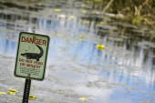 Na jezeru pronađeno unakaženo telo muškarca! Policija veruje da su ga raskomadali aligatori! (FOTO)