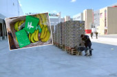 Droga ponovo među bananama! U Češkoj zaplenjen kokain vredan 64 miliona dolara! (FOTO/VIDEO)