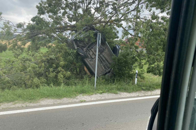 Nesvakidašnja nesreća kod Topole: Ford završio u krošnji drveta, prolaznici u šoku (FOTO)