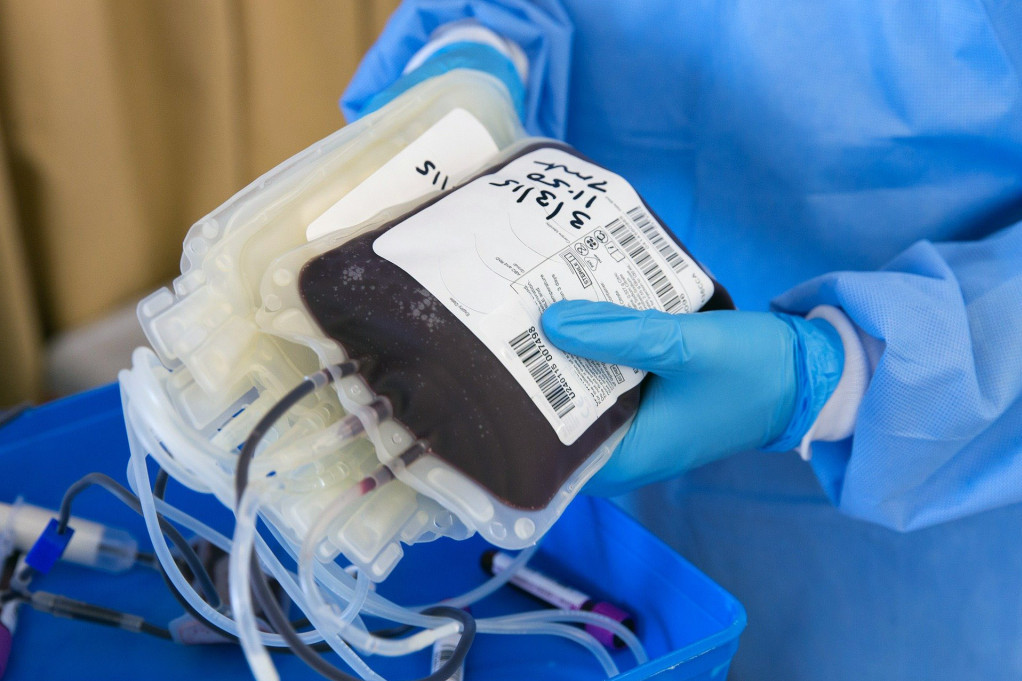 24SEDAM STARA PAZOVA Pazovčani u akciji dobrovoljnog davanja krvi