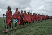 Čuveno pleme Masai ostaje bez zemlje predaka: Oduzeli im sve i oterali ih mecima i mačetama, evo šta se krije iza šokantnih prizora (VIDEO)