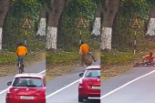 Leopard iz čista mira napao biciklistu: Iznenada iskočio iz grmlja i oborio ga na zemlju! (VIDEO)