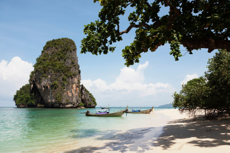 Tajland se bori da spase usamljeno drvo od navale turista željnih savršenog selfija