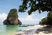 Tajland se bori da spase usamljeno drvo od navale turista željnih savršenog selfija