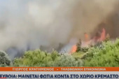 Izbio veliki požar u Grčkoj: Gore šume Eubeje, vatra se približila selu - naređena hitna evakuacija (VIDEO)
