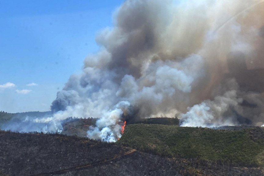 Izbio požar u Alanji: Vatra zahvatila šumu, jedna kuća potpuno oštećena!