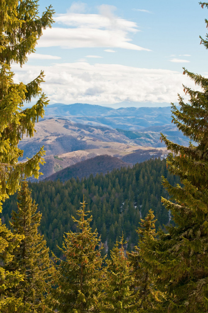 Stiže nam toplije vreme narednih dana, a evo šta nas čeka do kraja avgusta!