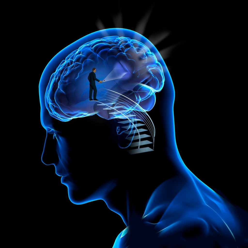 Gojazni ljudi imaju drugačiji oblik mozga: Šta sve nezdrava hrana radi ljudskom mozgu