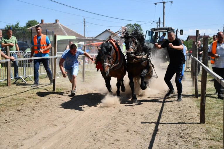 24SEDAM KRALJEVO Štraparijada u Tavniku okupila veliki broj ljubitelja konja