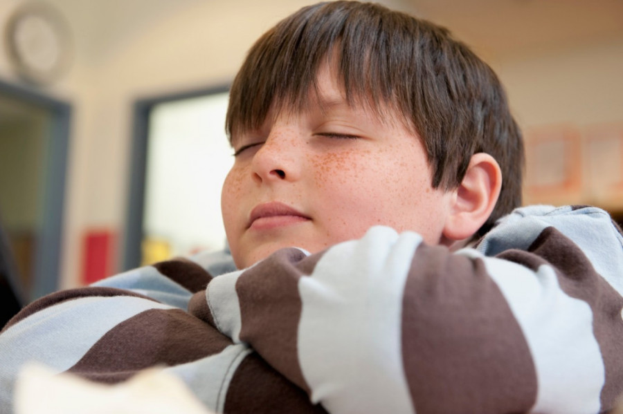 Bračni par izveo sina na sud u nadi da će ga naterati da se iseli iz kuće i konačno osamostali! Najsmešnije tužbe svih vremena