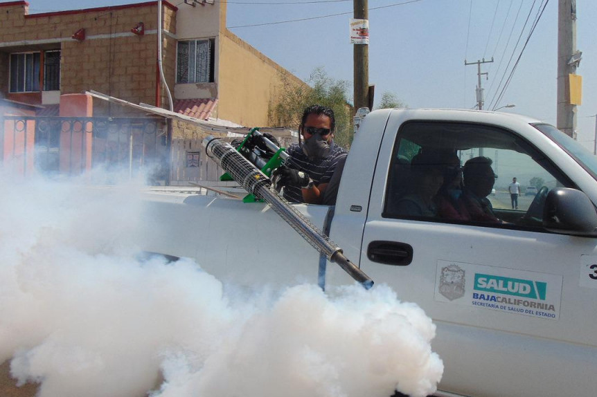 Broj obolelih od denge u Argentini na putu da obori rekorde