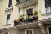 Gospođa Stana ima najlepši balkon u centru Beograda: Pogledajte tek kako su divna najlepša dvorišta (FOTO)