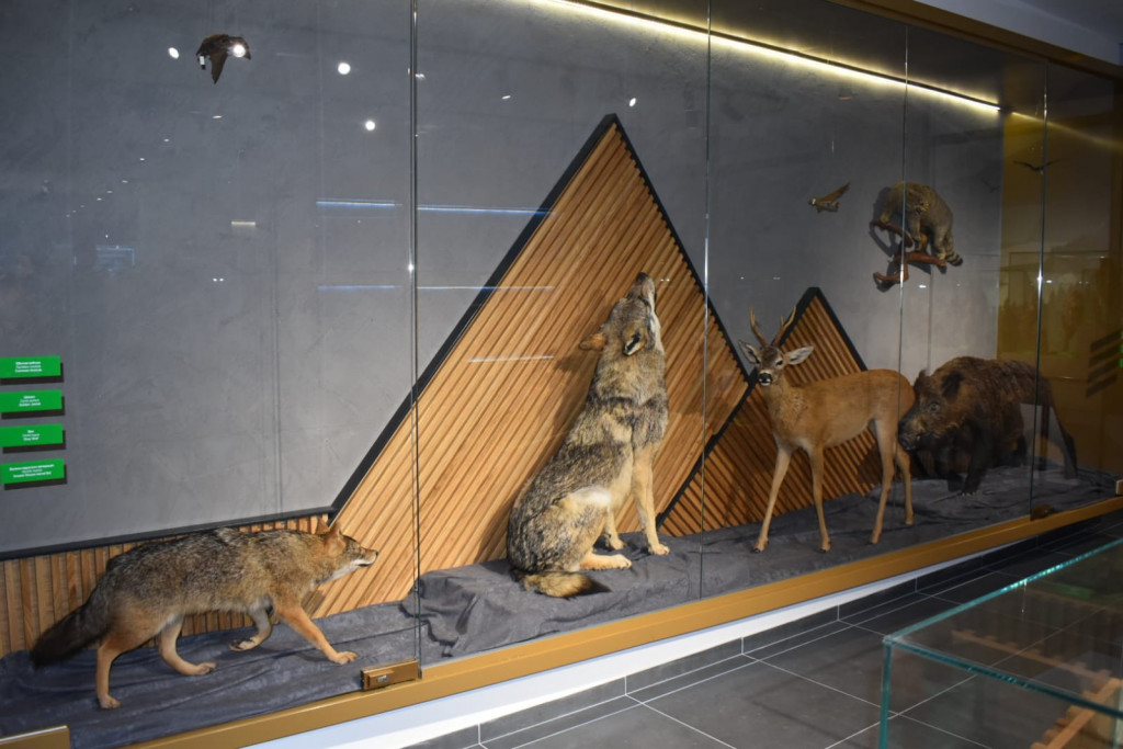 Otvoren Prirodnjački centar u Ovčar banji: Uloženo oko 30 miliona dinara