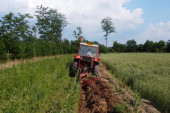 Kako do jeftinijeg dizela za traktore: Pravila za povrat akcize