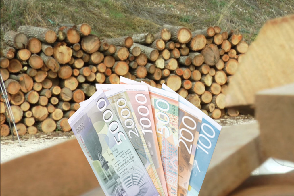Pad cena drveta širom Srbije: Evo zašto je ogrev pojeftinio i može li još