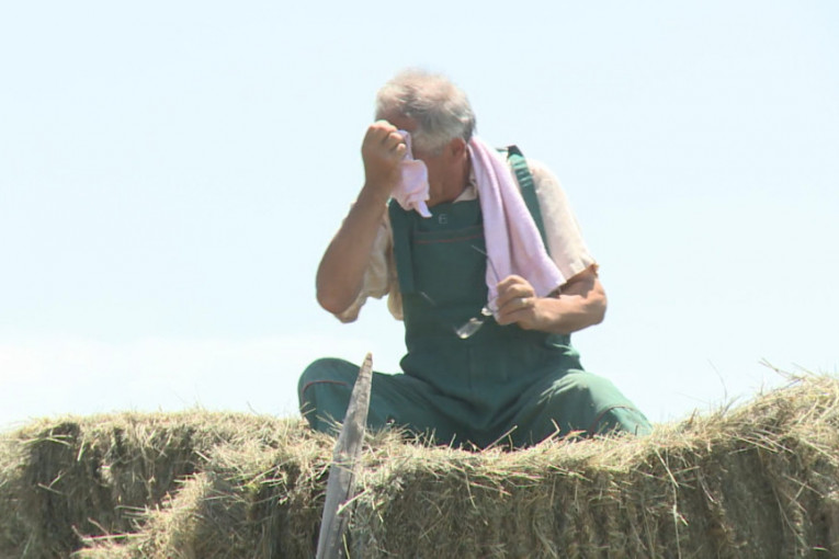 Srpski seljaci jedu hleb sa sedam kora: Za njih ne važe meteo-alarmi, rade i po najvećim vrućinama, a za UV zaštitu nemaju vremena