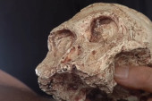 Neverovatno otkriće! Ljudski preci milion godina stariji nego što se mislilo? (VIDEO)