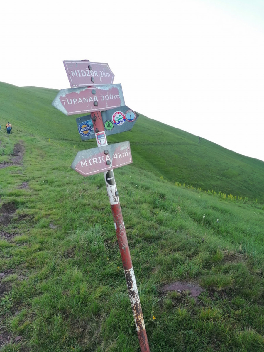 Top 7 izleta u Srbiji za leto 2025: Gde ići, prenoćiti, jesti, a za pristojne pare