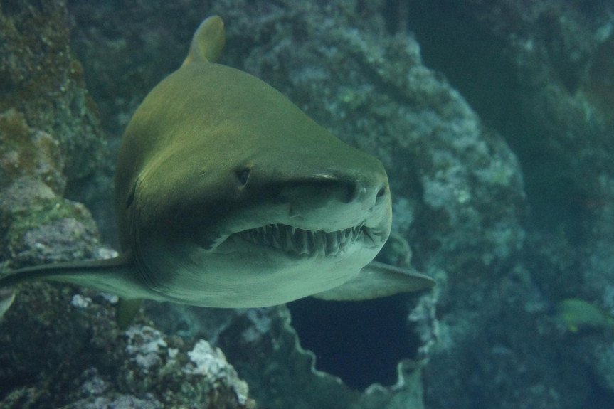 Devojka se odselila od roditelja, pa se posle četiri godine šokirala kada je shvatila šta su joj ostavili u automobilu