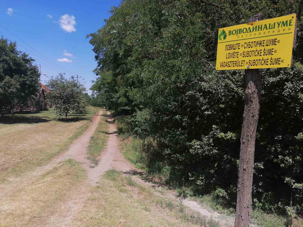 Evrogol petom, majstorska asistencija, pa tuča: Nišlije zakuvale na  poluvremenu u Subotici 