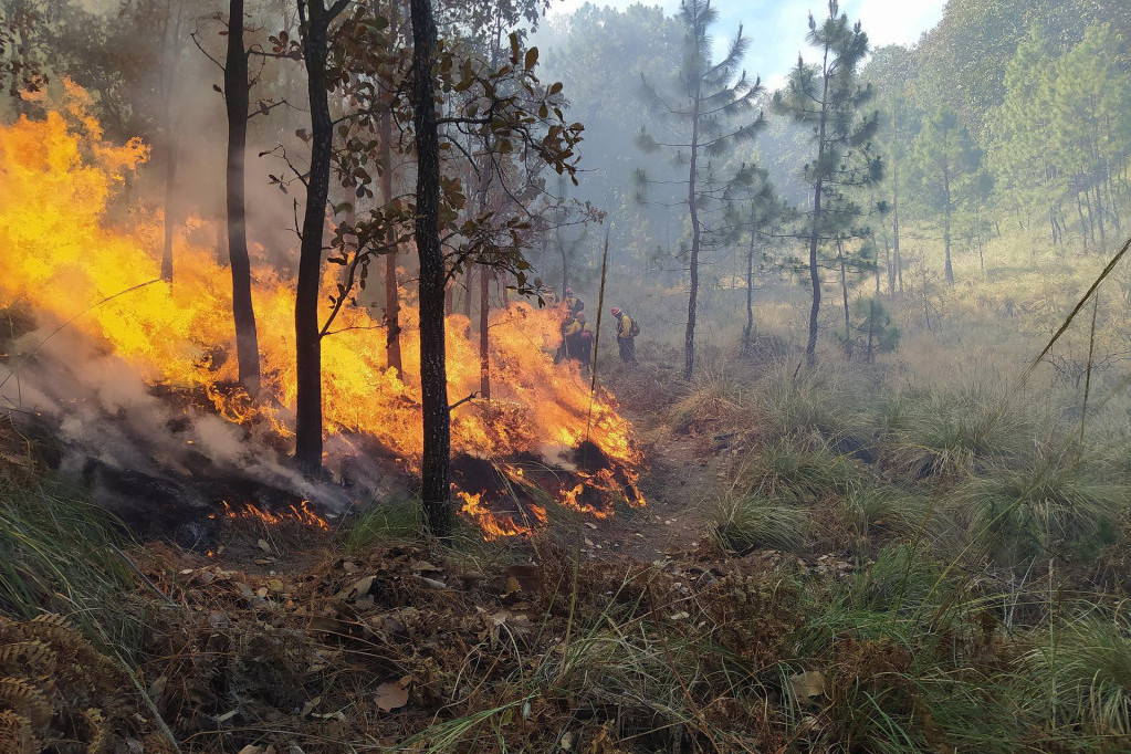 U Portugalu besne šumski požari: Više od 1.000 vatrogasaca i 14 kanadera bori se sa vatrom